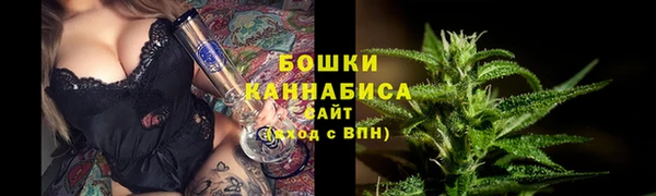 стаф Бугульма