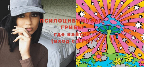 наркотики Бородино