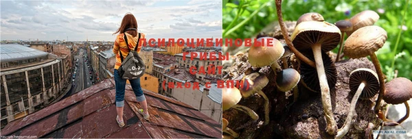 MDMA Premium VHQ Бронницы